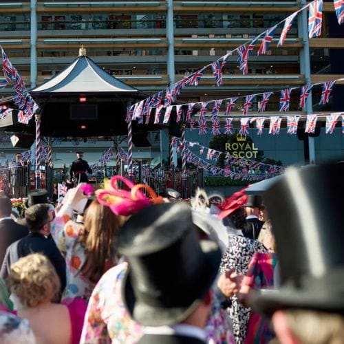 Ascot website